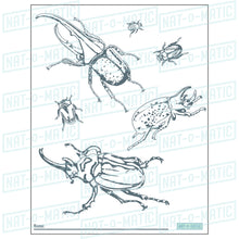 Load image into Gallery viewer, Beetles Coloring Page- Printable