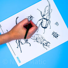 Load image into Gallery viewer, Beetles Coloring Page- Printable