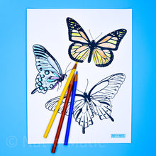 Load image into Gallery viewer, Butterflies Coloring Page- Printable