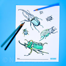 Load image into Gallery viewer, Beetles Coloring Page- Printable
