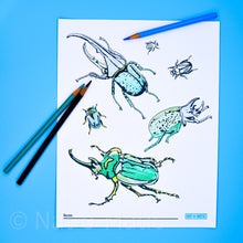 Load image into Gallery viewer, Beetles Coloring Page- Printable