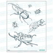 Load image into Gallery viewer, Beetles Coloring Page- Printable
